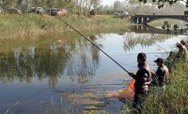  [雾天]过了霜降钓鱼要看天气，这些天气鱼最好钓，渔获肯定差不