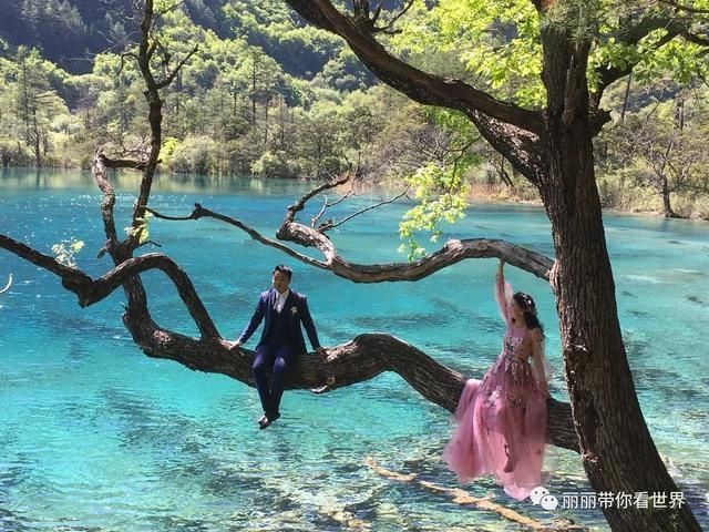 再见@于2020回忆再也讲不出再见的2017