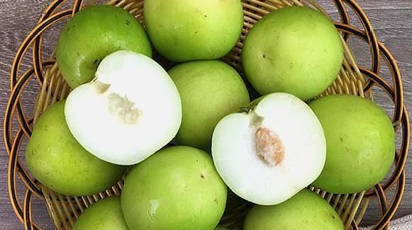  果树|农村一种水果，其果树不到半个人高，农民种植每亩收入6000