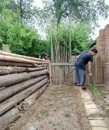  『小院』20多岁的年龄差距，却把一个破烂的农家小院变成了“桃花源”