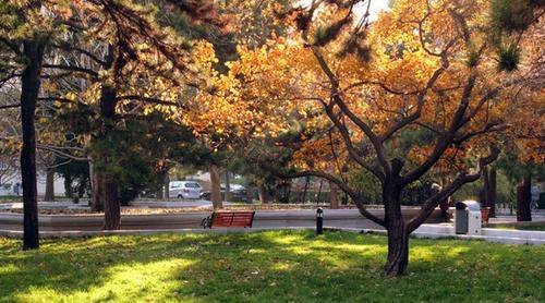 【人才】我国最好的医科大学, 每年为我国培养了一批又一批的医学人才