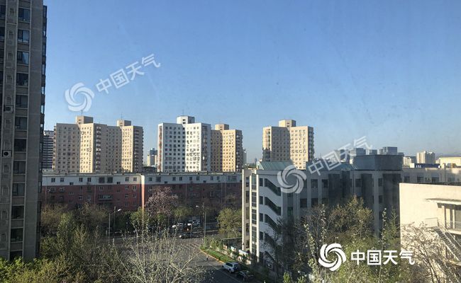 「飞絮」北京晴暖继续最高温可达25℃ 需防花粉及飞絮