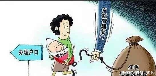  二胎政策■二胎政策放开后, 农民缴纳的计划生育“罚款”会退回