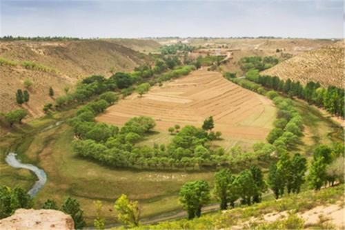  沙子@世界最“伟大”的工程：40年治沙5000万亩，改变了大半个中