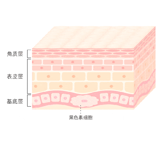  「黑色素」喝柠檬水祛斑美白？皮肤科专家说出“美白经”,赶紧学起来！