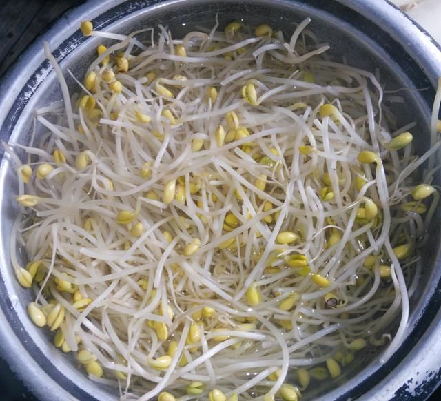  「豆芽的时」清炒豆芽时，到底要不要焯水？半数人做错，难怪豆芽不脆还难吃