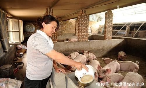  [养殖场]2019年，农村禁养新规，这3类已被列入禁养范围，农民要