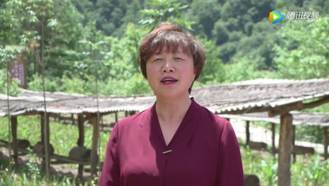  [女县委书记]被副省长点赞的女县委书记拟任新职，曾拒10亿投资