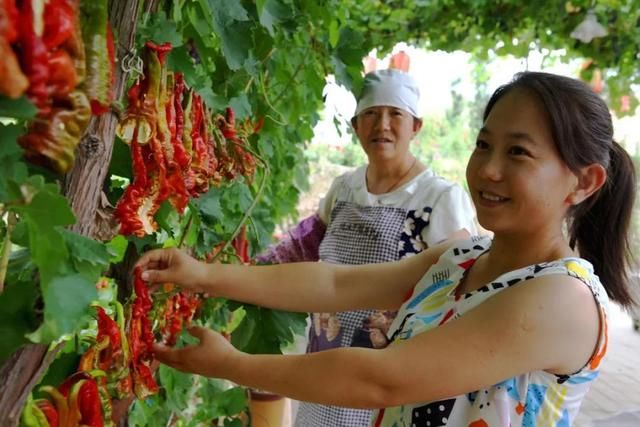 农村村长将取消了？农民误会了，不过这三类人将成为“新领头羊”