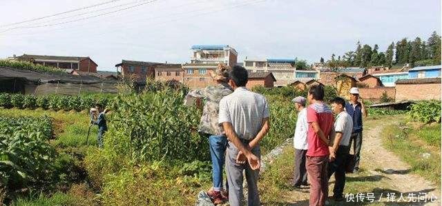 明年起, 这三种宅基地的使用将按面积收费, 看看有没有你家!