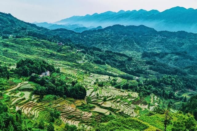 重庆酉阳的绝美梯田，好多本地人都没去过