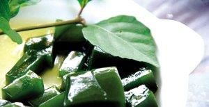  [植物]观音柴你们见过吗？叶子能做成爽滑Q弹的“神仙豆腐”