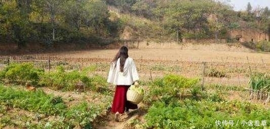  「返乡」年底, “伪城里人”回乡, 却吃不惯农村的席面, 你们遇