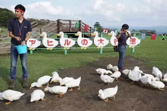 日本母亲牧场 年收入2亿的运营心得：“有意思比有意义更重要”