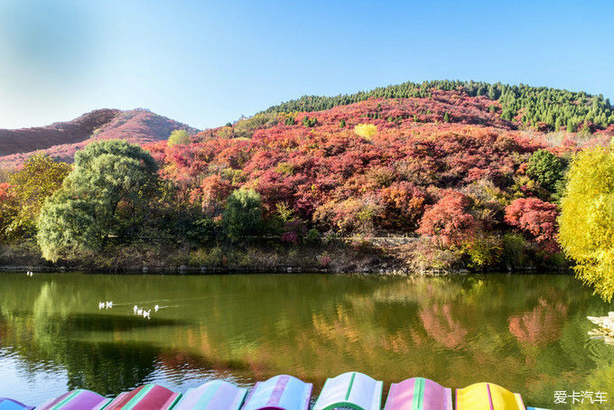 红遍万山的红叶谷【2020热门旅游景点】