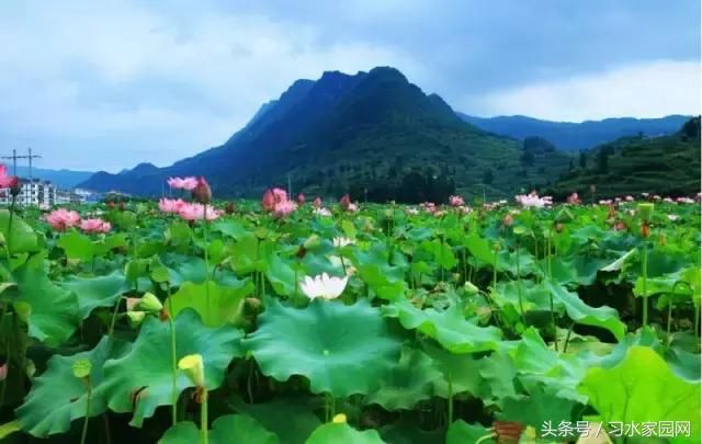 贵州居然要改名了！据说新名字是……