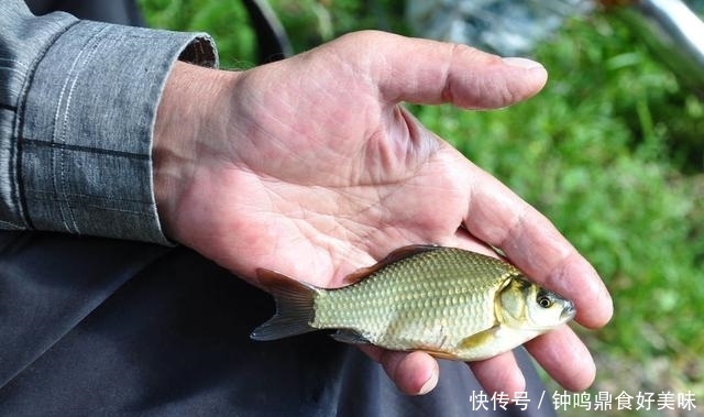  【钩子大】钓不到鱼是钩线挡口？学会正确地判断，才能尽早打破空军僵局