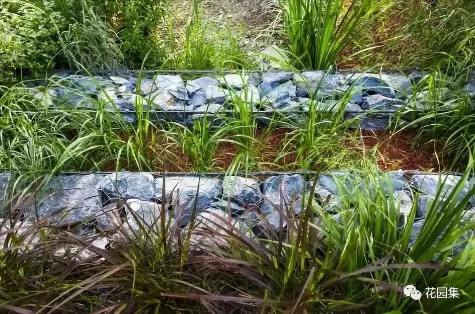 你的花园会呼吸吗？