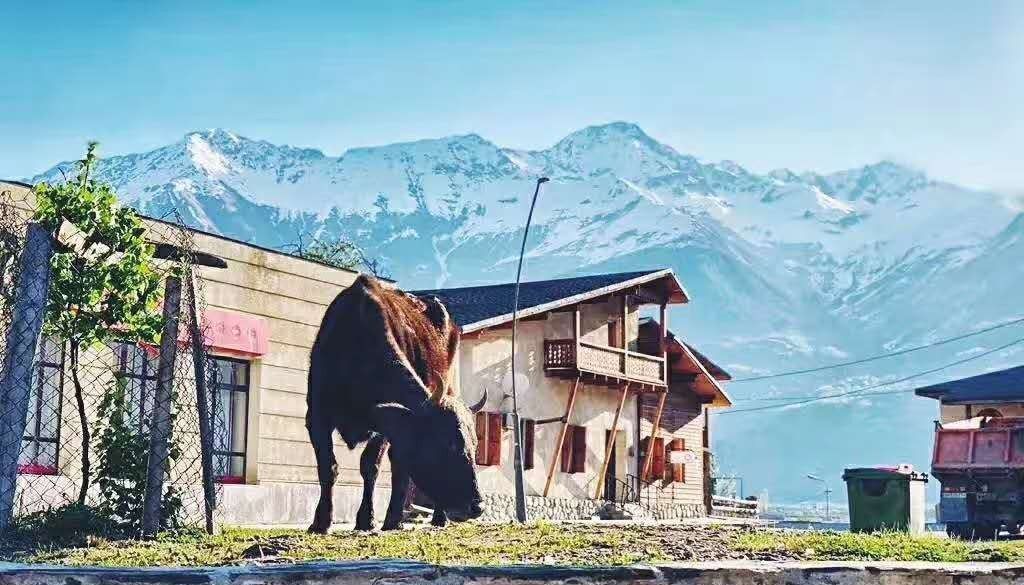 实拍欧洲人的后花园,藏在高加索山里的世外桃源，像极了西藏美景