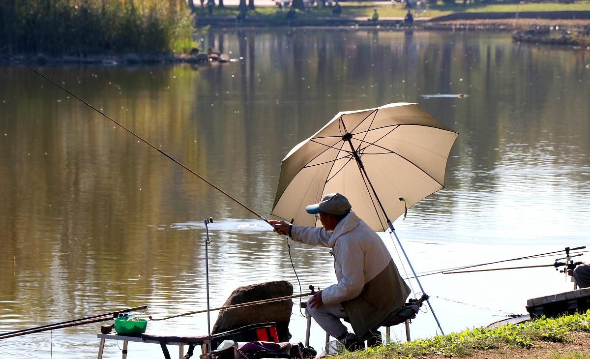  『好处』钓鱼人福利来了，合法持有钓鱼证？钓鱼证有哪些好处？