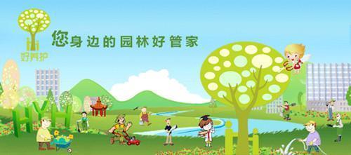 卧室养绿植不懂互补，将来追悔莫及！