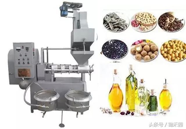 农民千万别再被骗了!这18个农业项目都是骗人的!