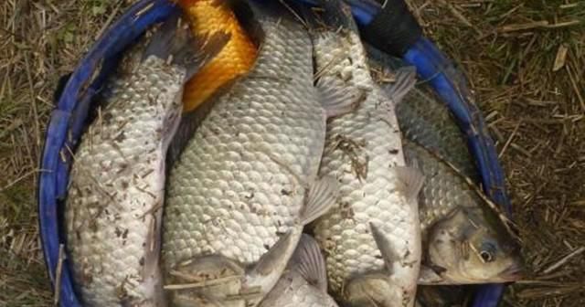  「浮漂翻身」飞铅钓法有什么要注意?如果不注意这几个细节,分分钟闹出人命