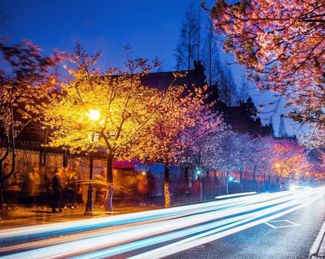 国内最灵“姻缘庙”，三生石上樱花树下，执子之手与子偕老