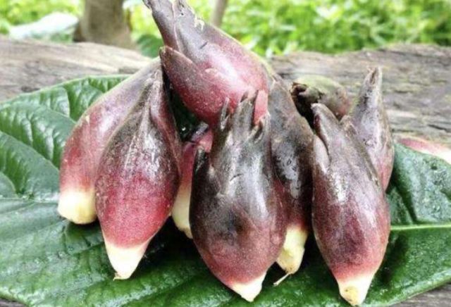  「植物」农村很普通的一种植物，被农村人当成是害草，却被城里