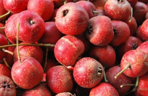  身价：过去落一地果子白送没人要，如今身价走高供不应求，果农