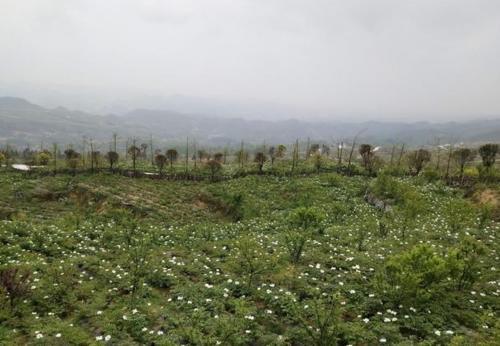  好处：2019年“土地改革”，农民将有这三大“福利”，对于农民