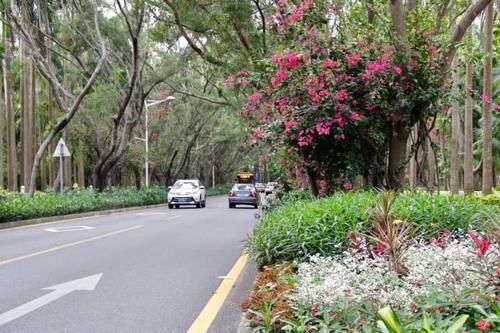  「里程」中国地铁里程最长的省份，达到800公里，不是江苏