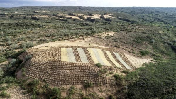  【西北】中国西北沙漠“穿绿衣”给全球旱区生态治理提供样板
