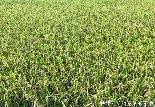 以前中国农民能挑300斤担子，现在年轻人50斤都难，我们在退化