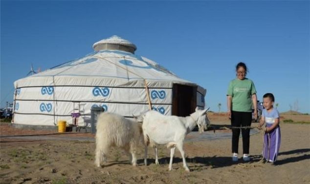 治沙刻不容缓，中国投资上亿元，欲让沙漠变绿洲，现在怎么样了？