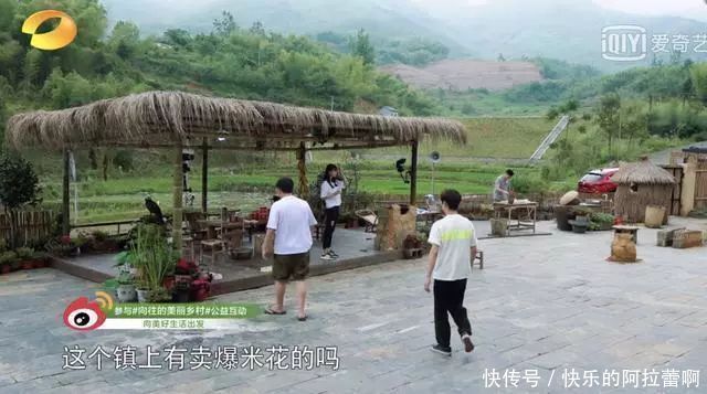 杨颖节目中到底有没有假吃？但是信用破产真的没办法挽回啊！