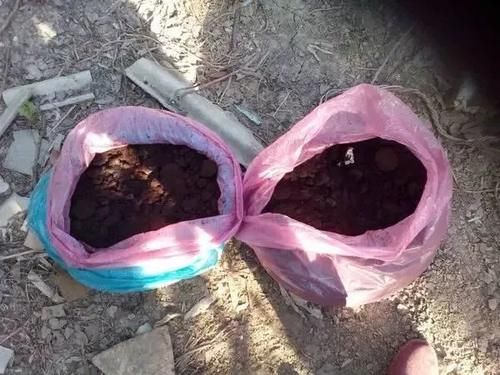  「制作堆肥」技巧| 生活中免费的堆肥材料，自制养花肥料真的很简单！