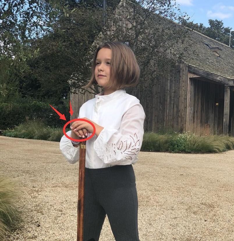 呆萌的小七越来越像贝嫂，到哪都打扮的很美!唯独胖的时候没样了