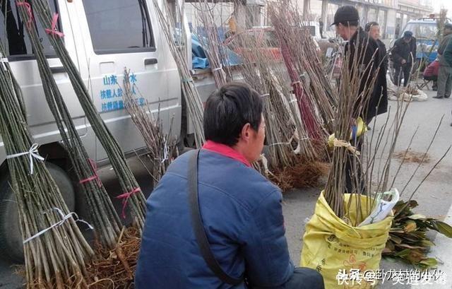 在农村集市上见到五样东西,不要买,很多农民朋友都上当了