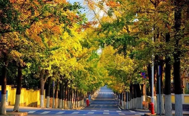 出发 | 金秋十月，这5个地方藏着中国最美的秋色！