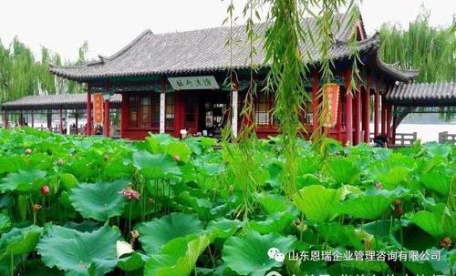 济南这些“怪事”您了解吗？