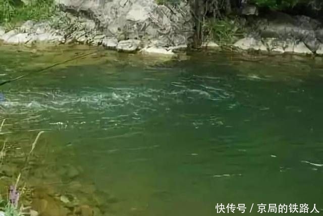 技巧■在流水中钓鱼应该掌握什么技巧?
