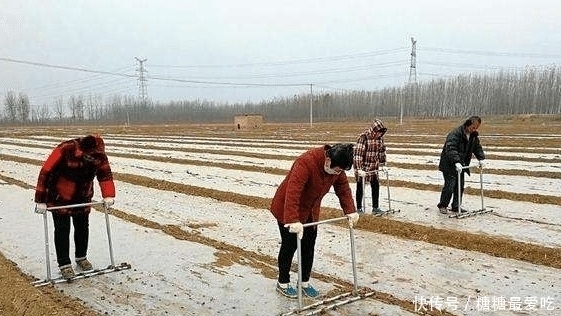  明年：明年取消农业户口后, 农民要全部迁出吗? 土地咋办? 房子