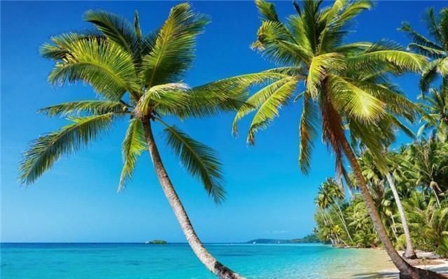 湄公河野生鱼虾泛滥，一条鲶鱼就超过200斤，堪比东北查干