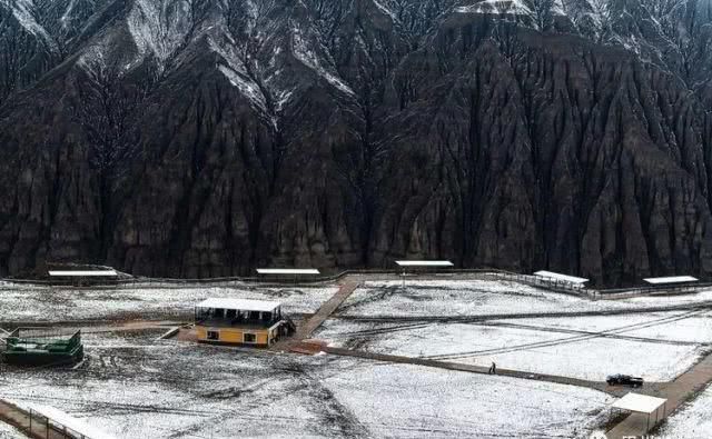 大美新疆，上眼胡杨