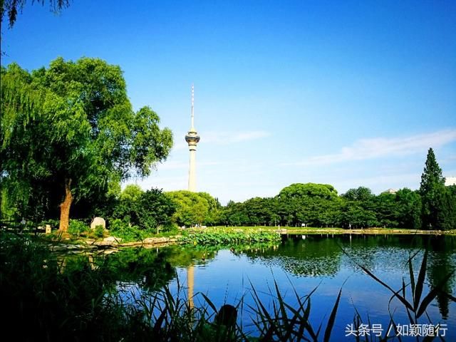 秋到玉渊潭 幽幽深潭 水阔林丰 人在画中游