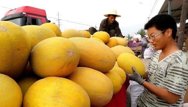  赚钱：产地5毛一斤，一车运费28000元，到城里卖2元一斤，贩子赚