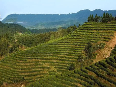 湖南首家茶汤温泉上线！长沙冬季自驾游推荐，你想去吗？