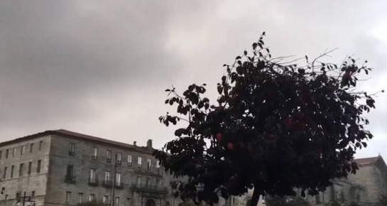 西班牙有一座没有私家车的城市，出门靠走开车会被重罚