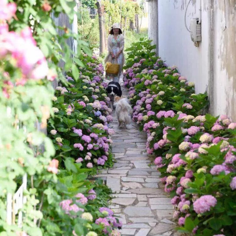 40岁高薪夫妇提前退休，造3000㎡花园惬意养老，还有酒坊！